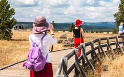 日本在线播放一区